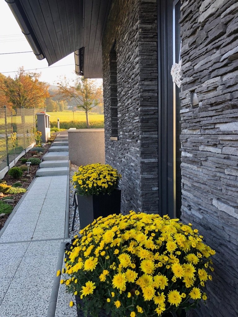 Hausfassade mit Povazan black verblendet